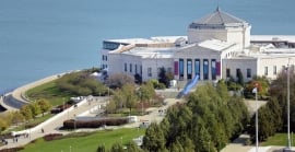 shedd-aquarium